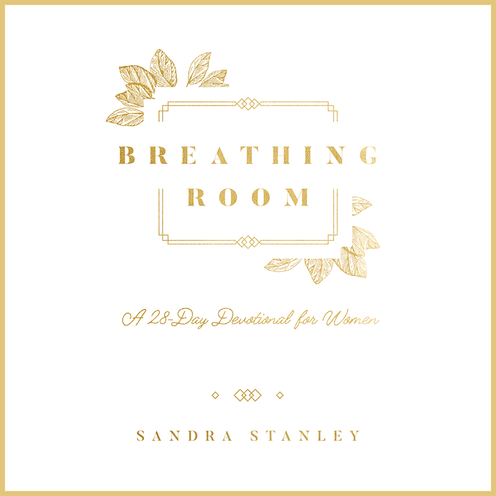 Breathing Room 28 - Day Devotional for Women - Irresistible Church Network Store