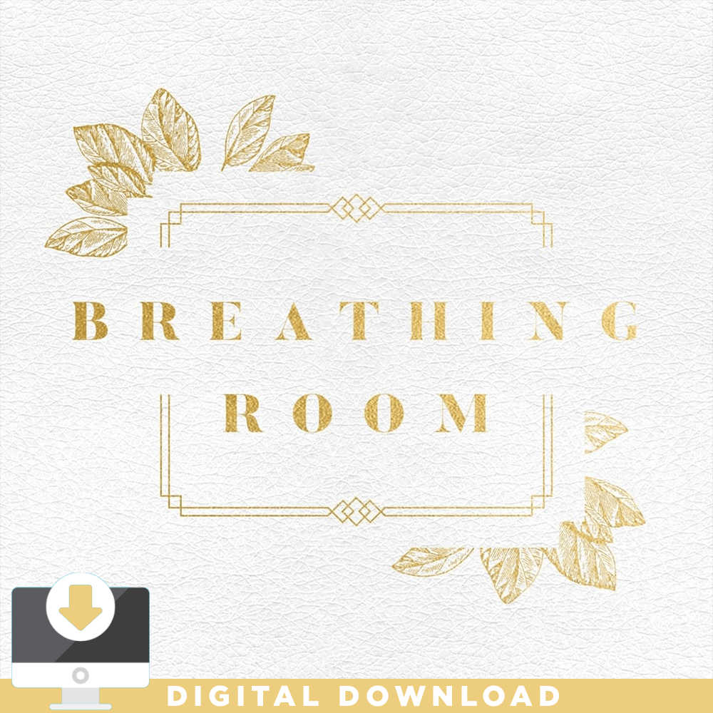 Breathing Room Marketing Kit - Irresistible Church Network Store