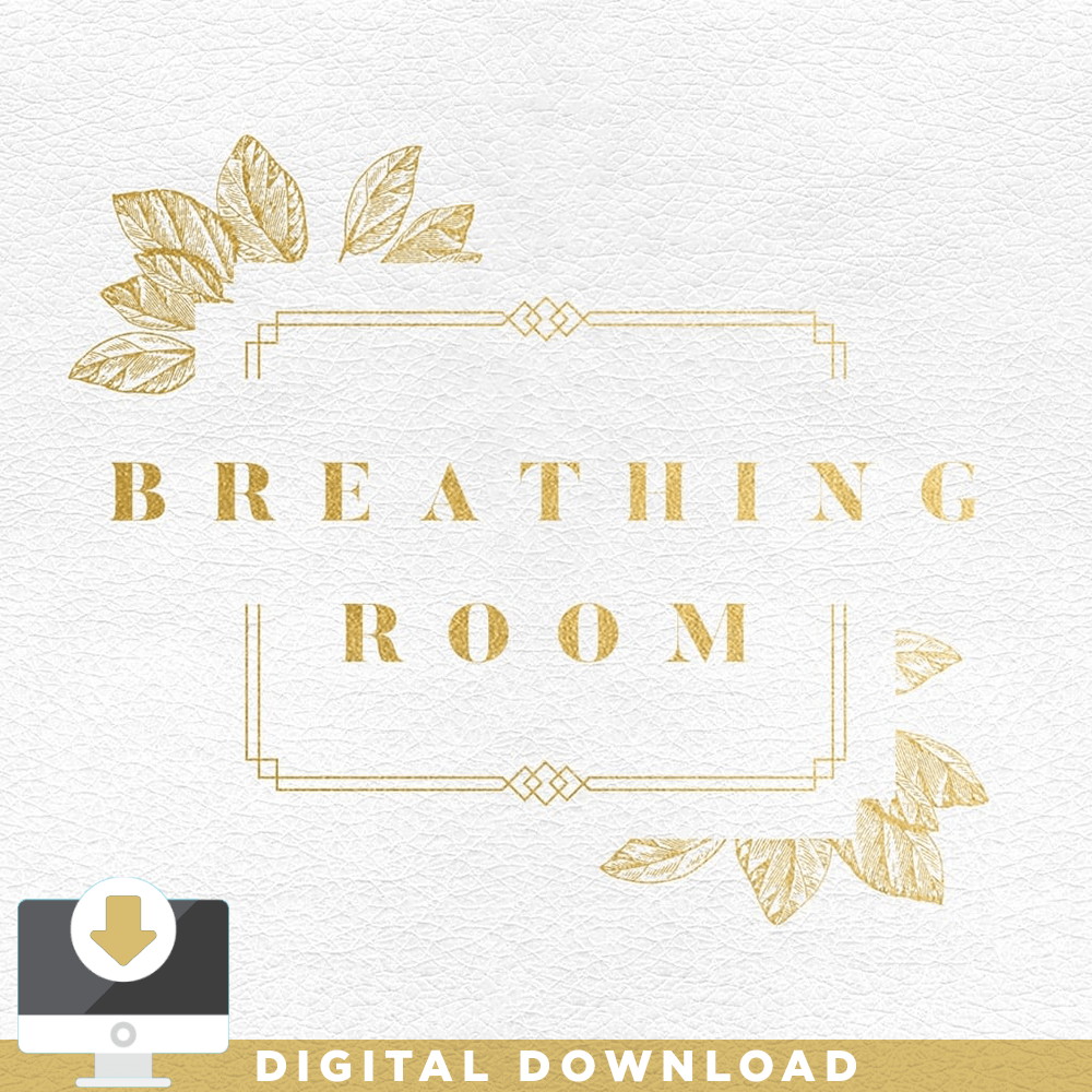 Breathing Room - Premium Event Kit - Irresistible Church Network Store