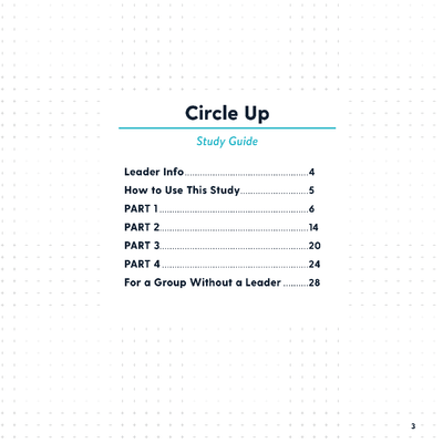 Circle Up Study Guide - Irresistible Church Network Store