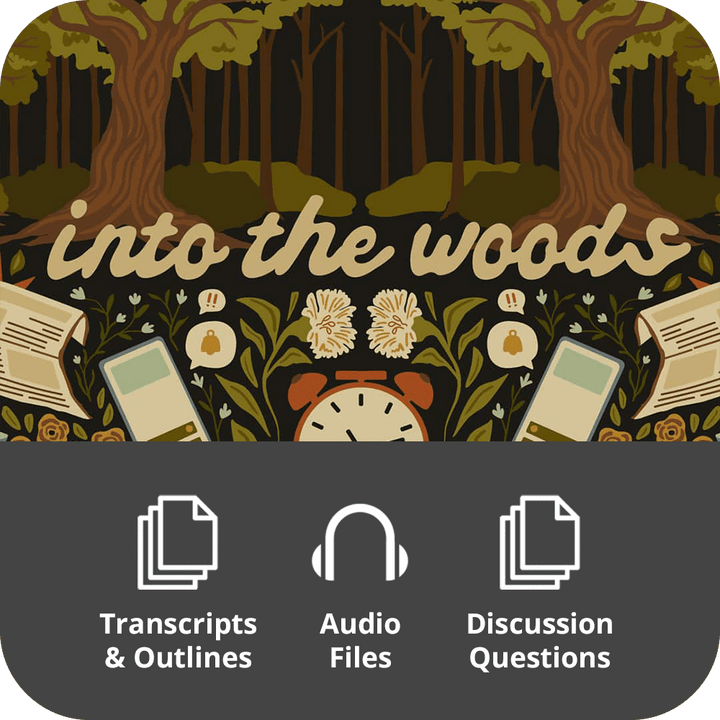 Into The Woods - Basic Sermon Kit I 3-Part - Irresistible Church Network Store