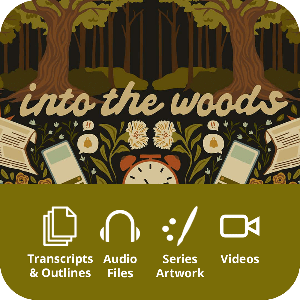 Into The Woods - Premium Sermon Kit I 3-Part - Irresistible Church Network Store
